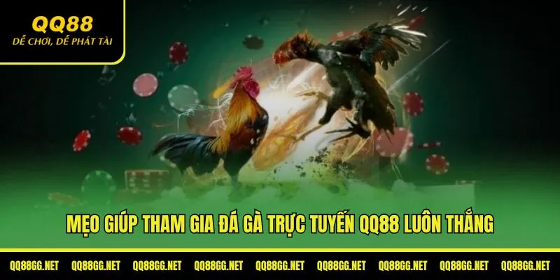 Mẹo giúp anh em tham gia đá gà trực tuyến QQ88 luôn thắng
